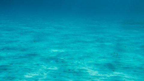 OTS Offshore - Offshore Trading & Services